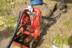 DSCN0861